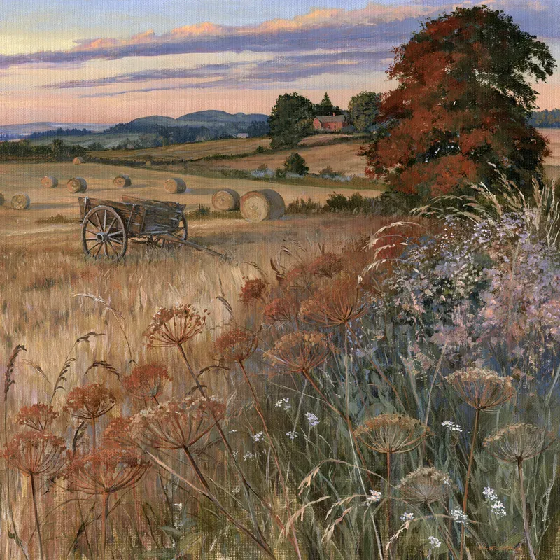 Rustic Autumn Countryside Landscapes