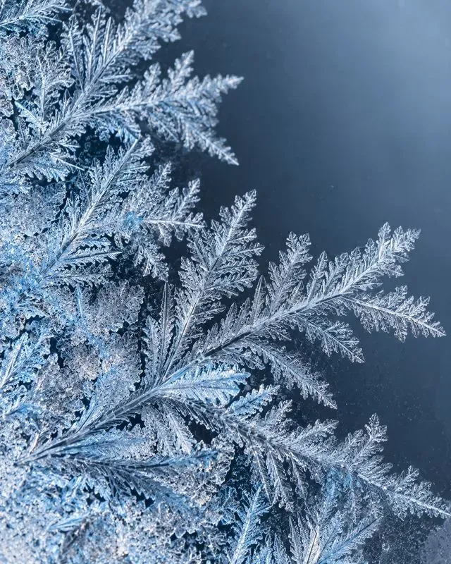 Scientific Macro Phenomena