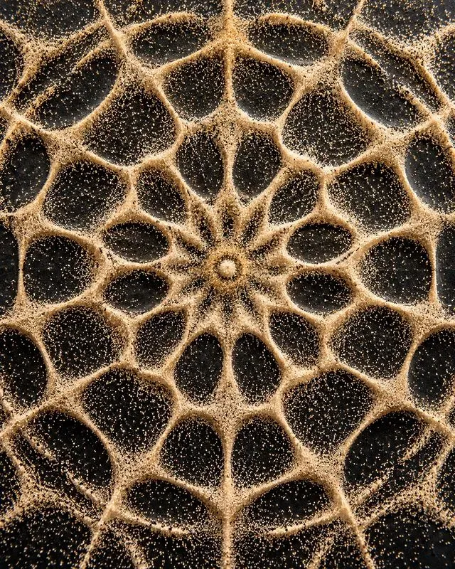 Scientific Macro Phenomena
