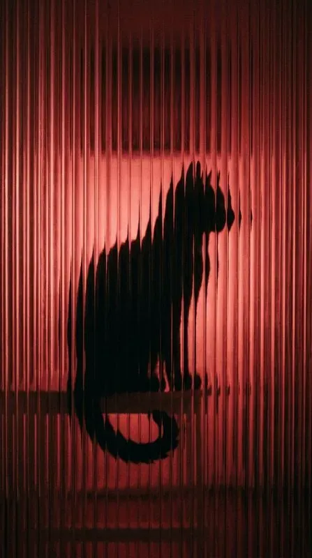 Glowing Fluted Glass Silhouettes