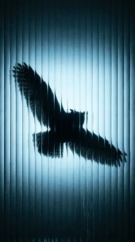 Glowing Fluted Glass Silhouettes