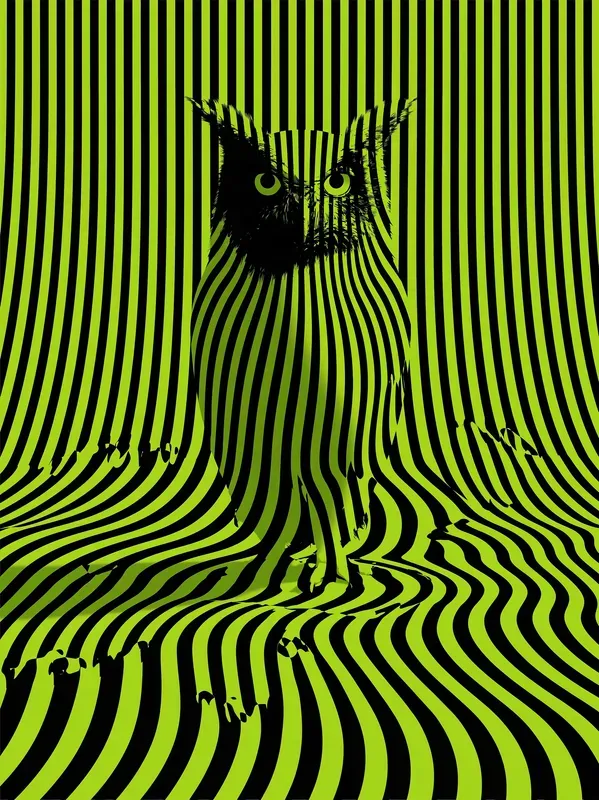 Psychedelic Op Art Poster Prints
