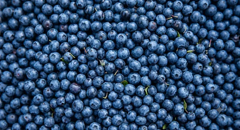 Fresh Market Food Backgrounds