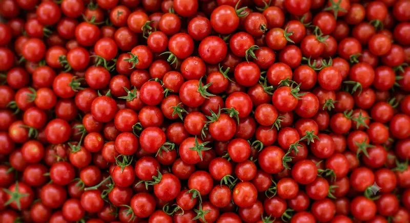 Fresh Market Food Backgrounds