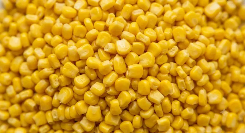 Fresh Market Food Backgrounds
