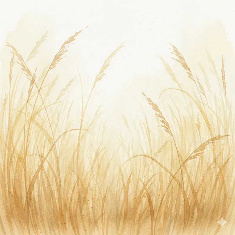 Soft Watercolor Canvases