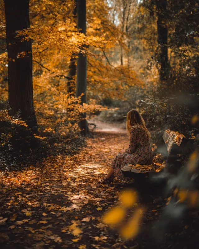 Environmental Lifestyle Scene Generator