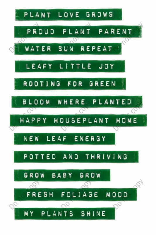 Retro Label Tape Quote Strips
