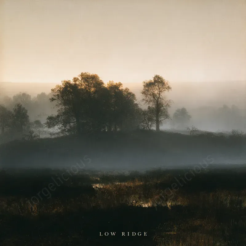 Misty Atmospheric Photo Covers