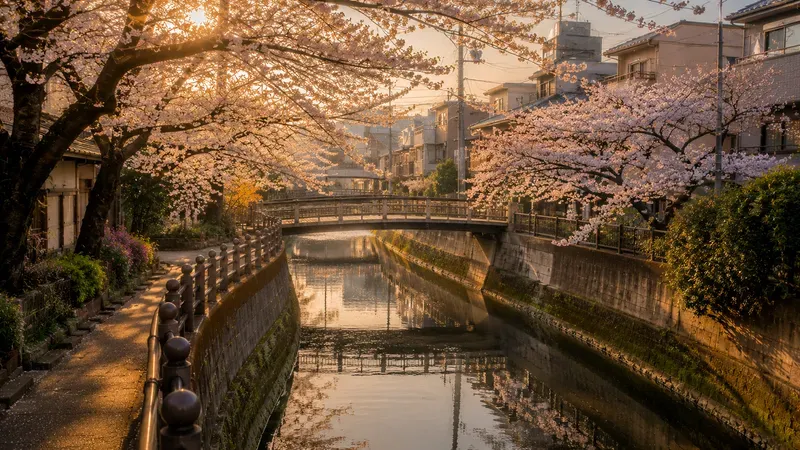 Japan Mood Tokyo Street Scenes