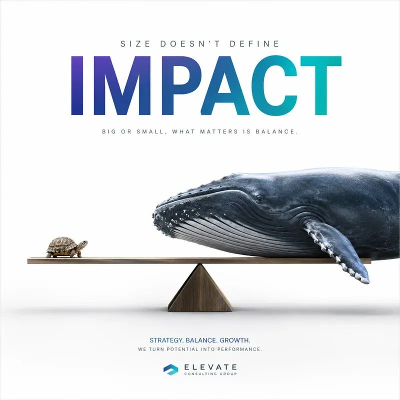 Conceptual Seesaw Ad Posters