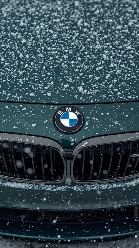 Ultrarealistic Snowdusted Cars Portraits