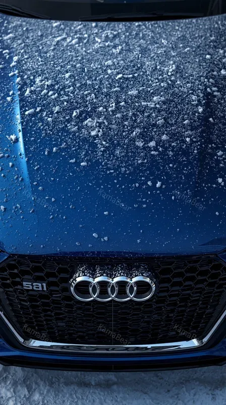 Ultrarealistic Snowdusted Cars Portraits