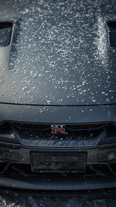 Ultrarealistic Snowdusted Cars Portraits