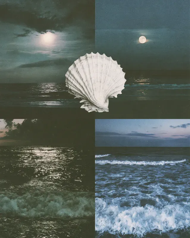 Atmospheric 4panel Photo Mood Collages