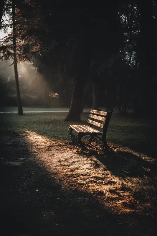 Emotional Lighting Photos