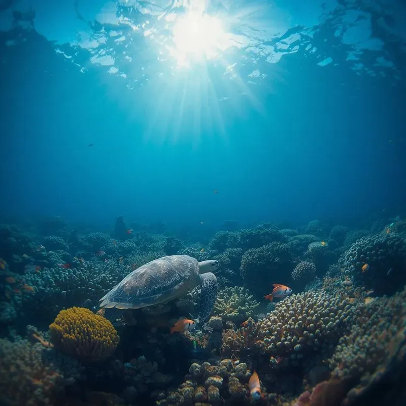Beach Ocean Photography