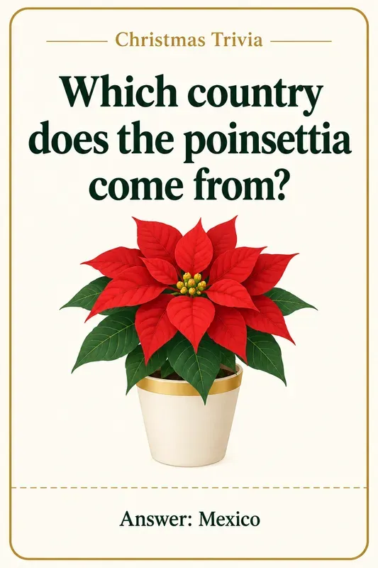 Christmas Trivia Game Cards
