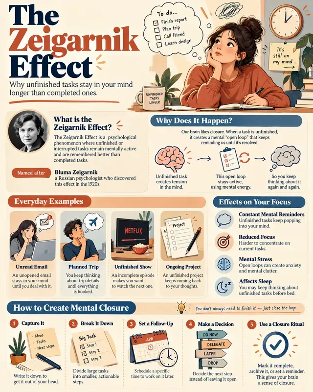 Modern Concept Explainer Infographics