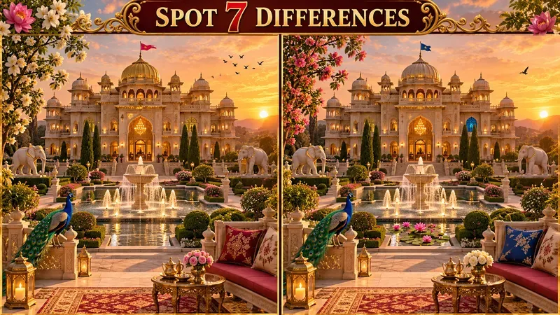 Spot 7 Differences Puzzle Images