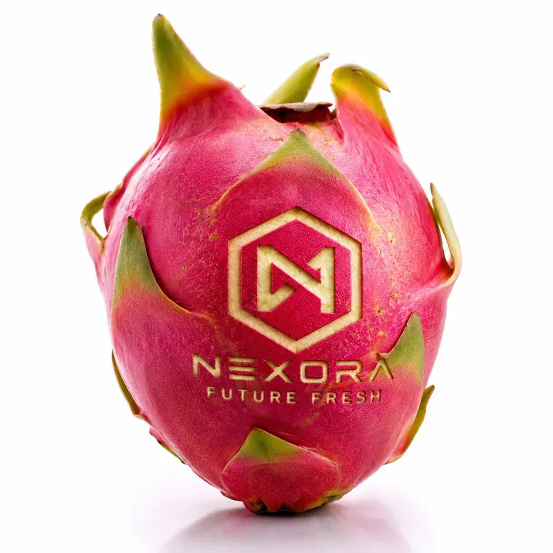 Luxury Fruit Logo Engravings