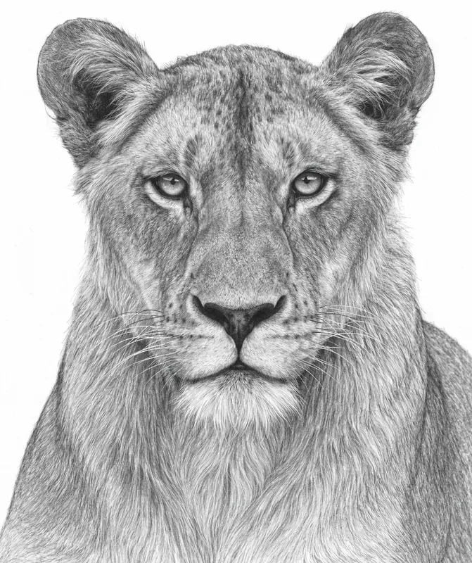 Realistic Pencil Sketch Generator