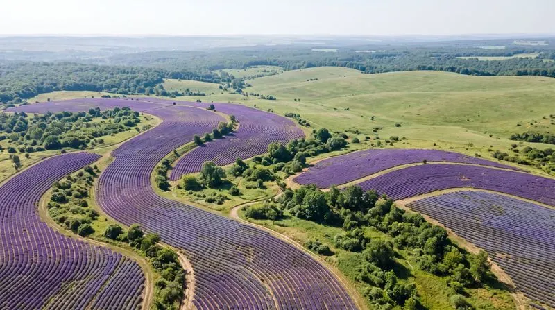 Photorealistic Aerial Nature Backgrounds