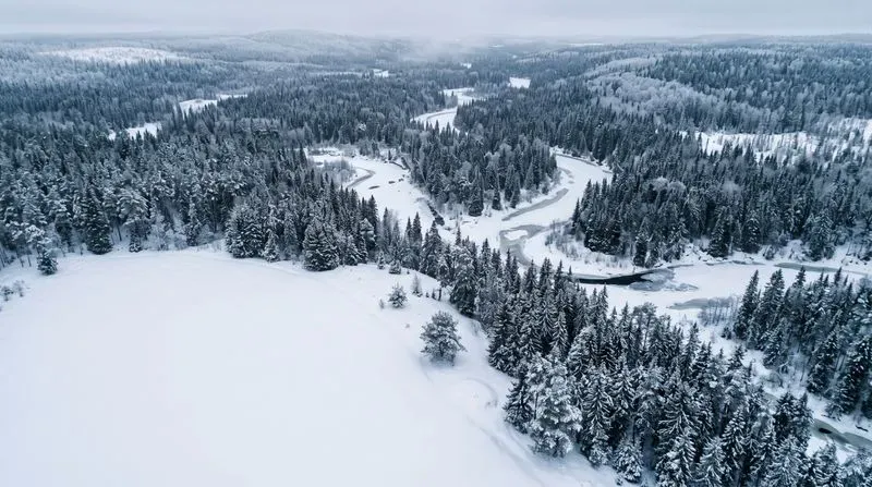 Photorealistic Aerial Nature Backgrounds