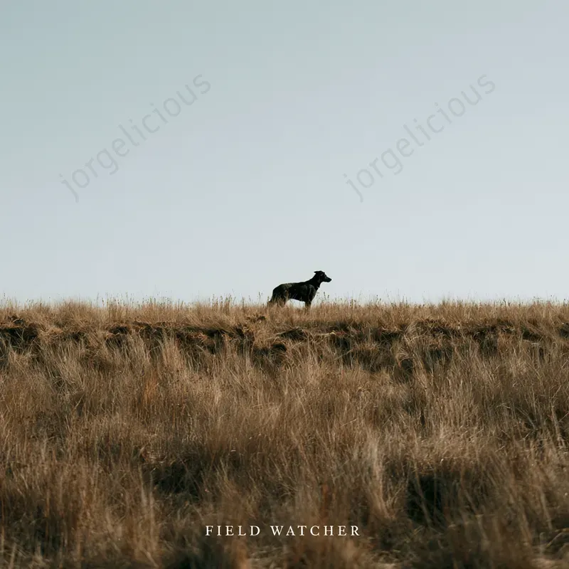Quiet Rural Photo Covers