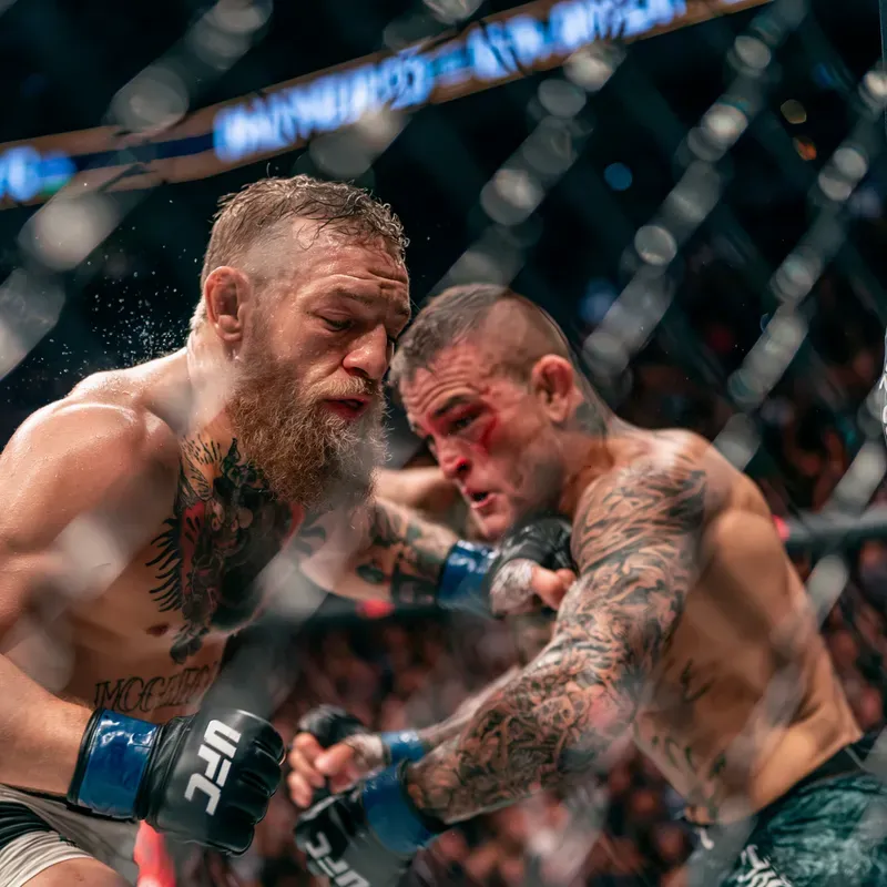 Conor Mcgregor Collections