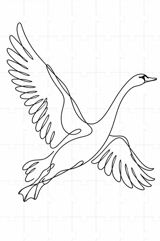 Continuous Line Art