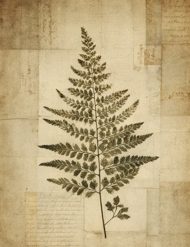 Moody Vintage Botanical Junk Journals