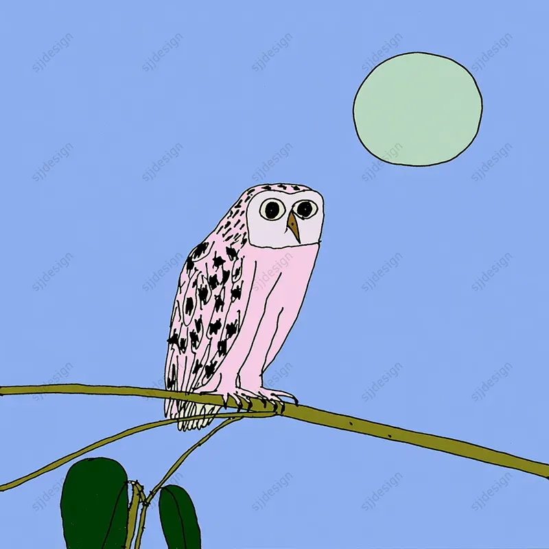Pastel Oddity Illustrations
