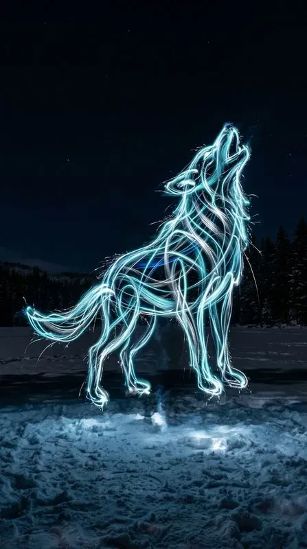 Neon Light Painting Wildlife Photos