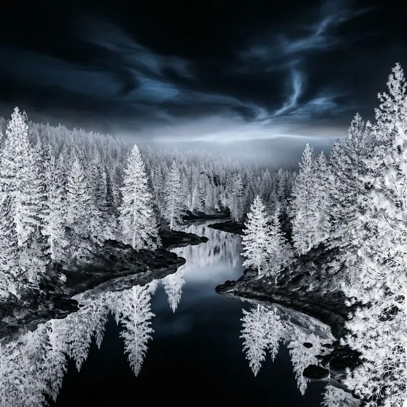 Inverted Nature Surreal Art