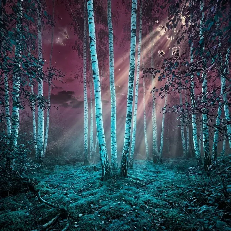 Inverted Nature Surreal Art