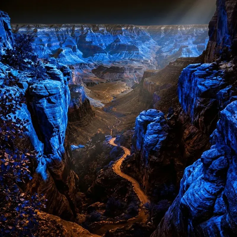 Inverted Nature Surreal Art