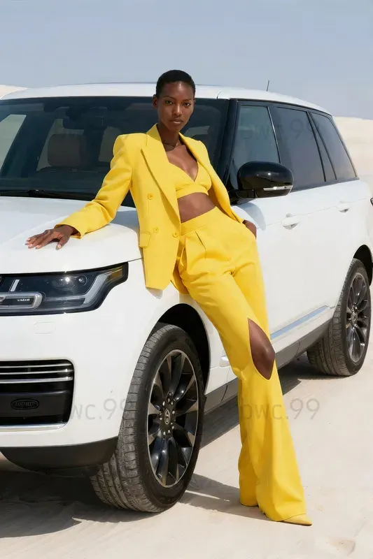 Velocity Elegance Auto Coutures