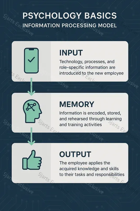 Psychology Basics Infographics