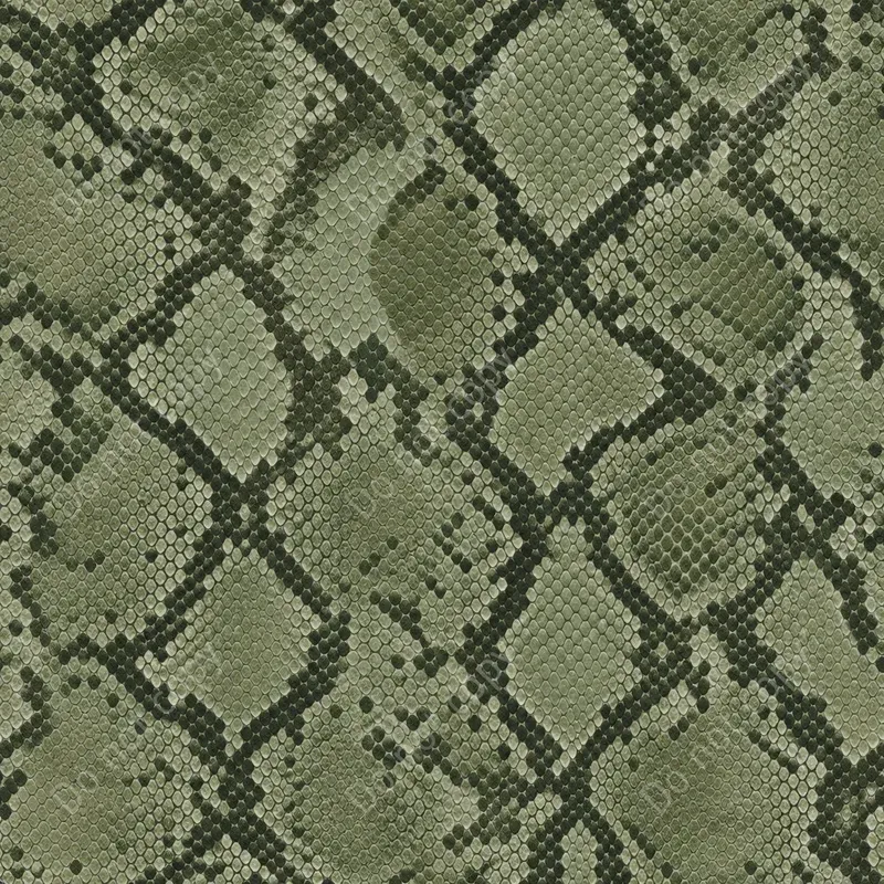 Animal Print Seamless Patterns