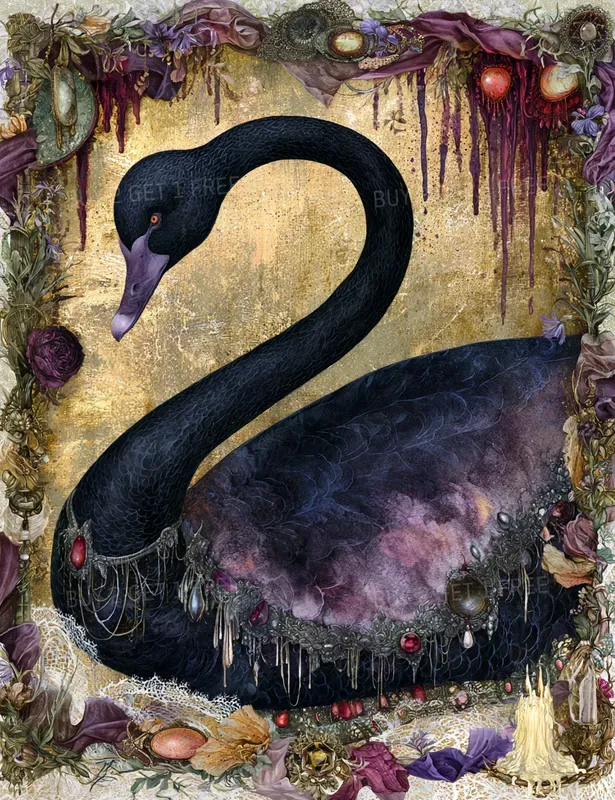 Gothic Romance Illustrations