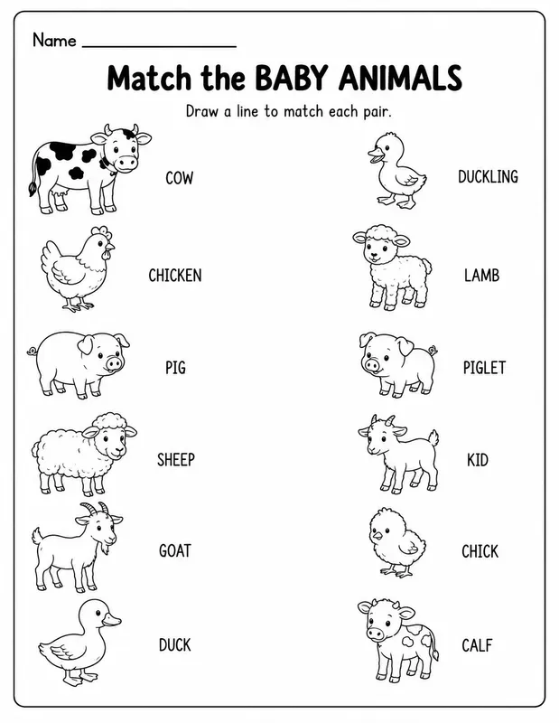 Printable Matching Worksheet Generator
