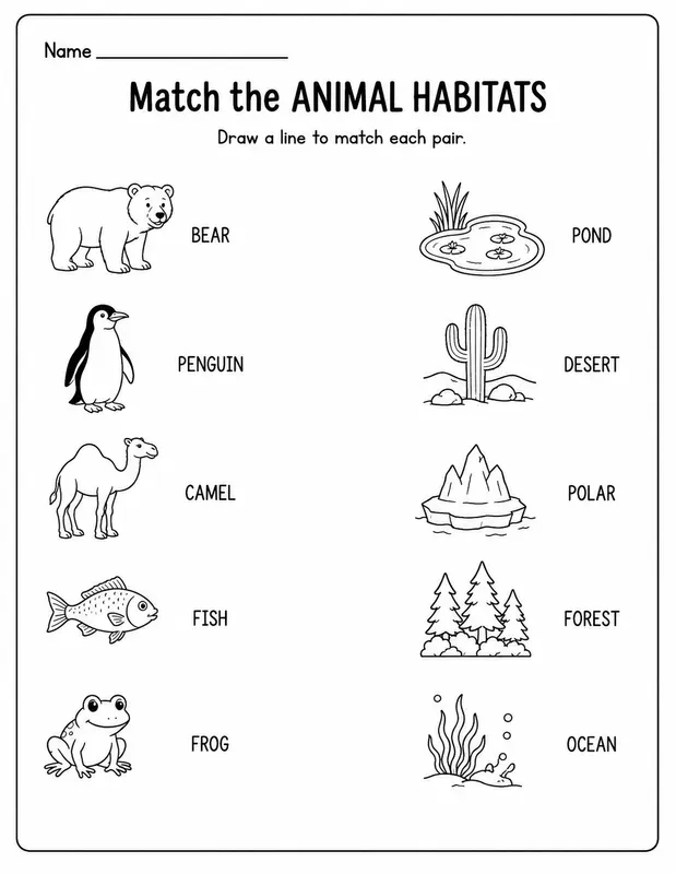 Printable Matching Worksheet Generator