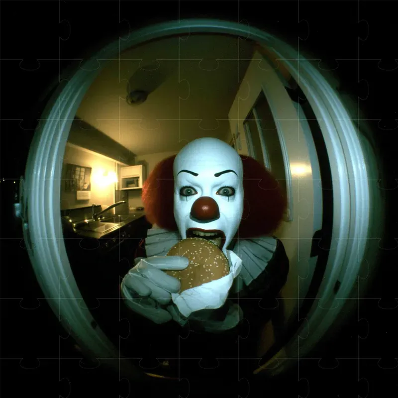 Fisheye Lenses From Door Peepholes