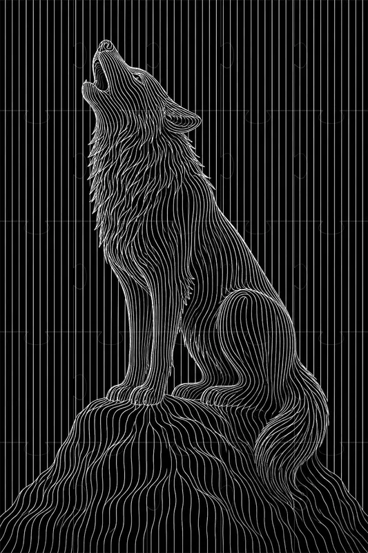 Topographic Contour Line Illustrations