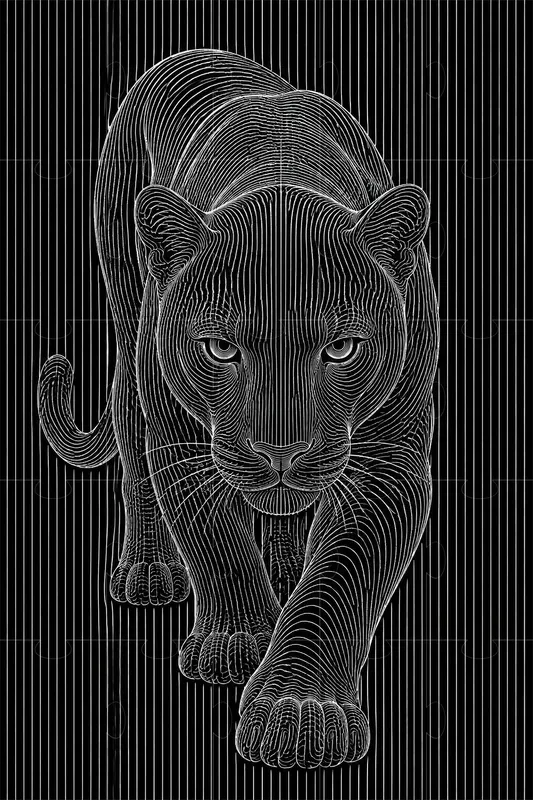 Topographic Contour Line Illustrations