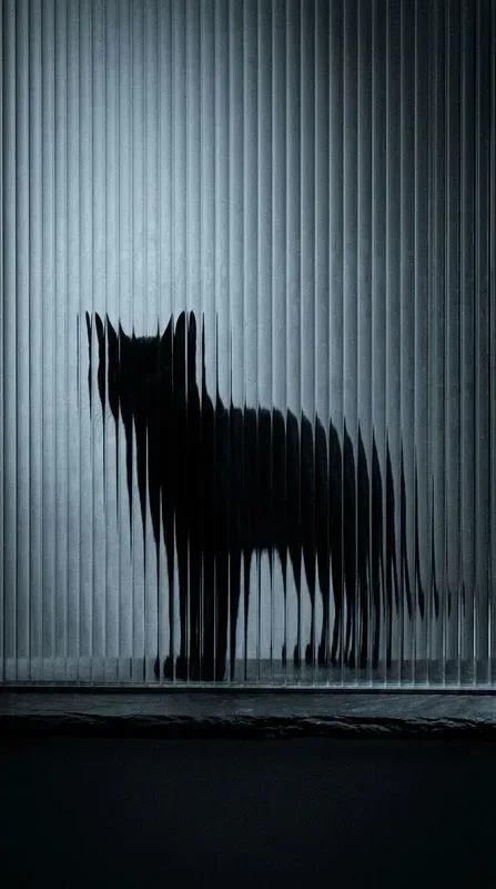 Dark Fluted Glass Silhouettes