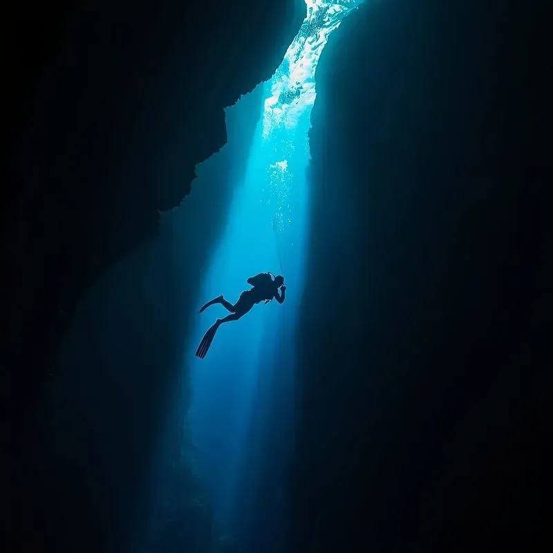 Underwater Ocean Scene Photos