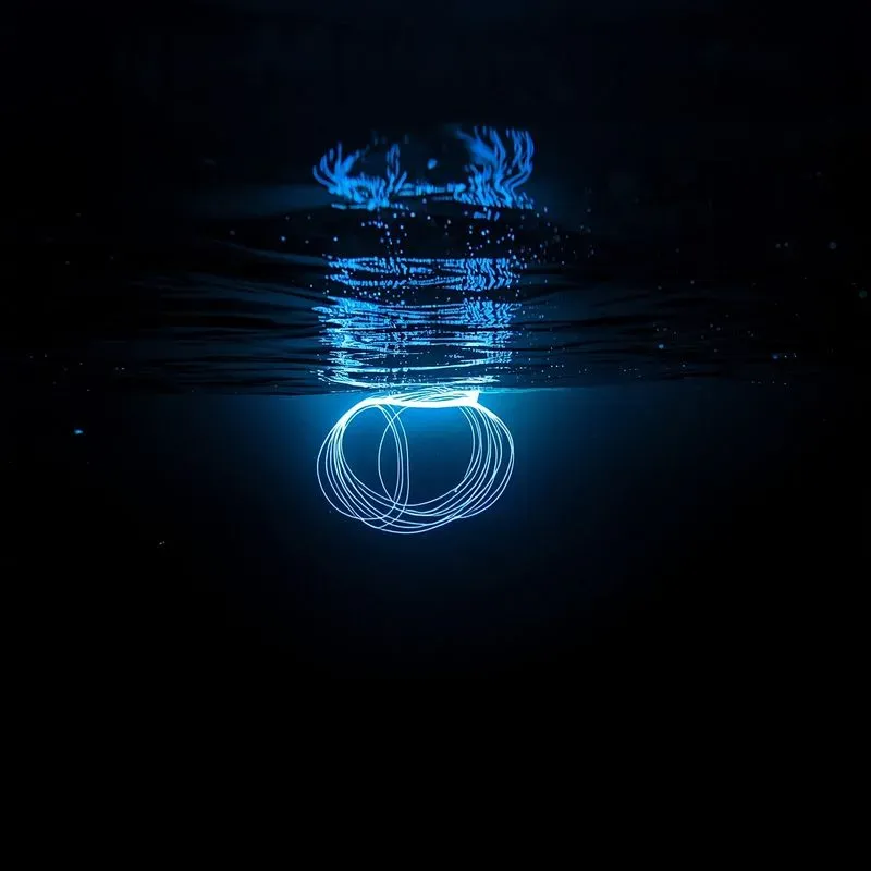 Underwater Ocean Scene Photos