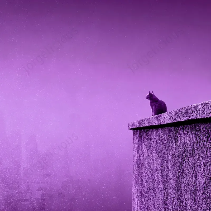 Purple Atmospheric Minimal Scenes